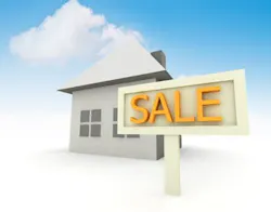 66fdbcfc36c97e78bc8b5be5 For20sale 2 66fdbcfc36c97e78bc8b5be5 For20sale 2