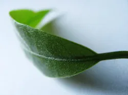 66fdbcfddbd68e11c54aa2d5 Greenwashing 2 66fdbcfddbd68e11c54aa2d5 Greenwashing 2