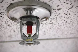 66fdbcfe01d3bfeb9faf7446 Sprinkler 0 66fdbcfe01d3bfeb9faf7446 Sprinkler 0