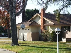 66fdbd333cabd93bfea696ef 849631 Landscapessuburban Decay