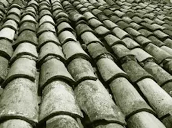 66fdbd36e1fd4a80c1e1ebac 33877 Roof20copy