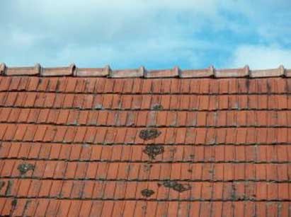 66fdbd40e63fdc6b8745825b 838143 Roof Tiles20copy