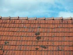 66fdbd40e63fdc6b8745825b 838143 Roof Tiles20copy 66fdbd40e63fdc6b8745825b 838143 Roof Tiles20copy