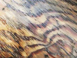 66fdbd53e1fd4a0ebce1ebfc Lumber20copy 66fdbd53e1fd4a0ebce1ebfc Lumber20copy