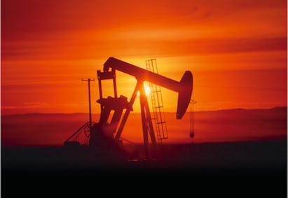 66fdbd5ba5dba00ea04620d1 Oil