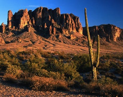 66fdbd62e1fd4a3e13e1ec1d Phoenix20az20article