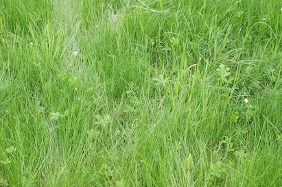 66fdbd78d4ea38f058a59646 Green2