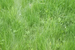 66fdbd78d4ea38f058a59646 Green2 66fdbd78d4ea38f058a59646 Green2