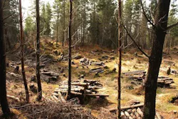 66fdbd9ba5dba062e1462187 1360582 86374572 66fdbd9ba5dba062e1462187 1360582 86374572