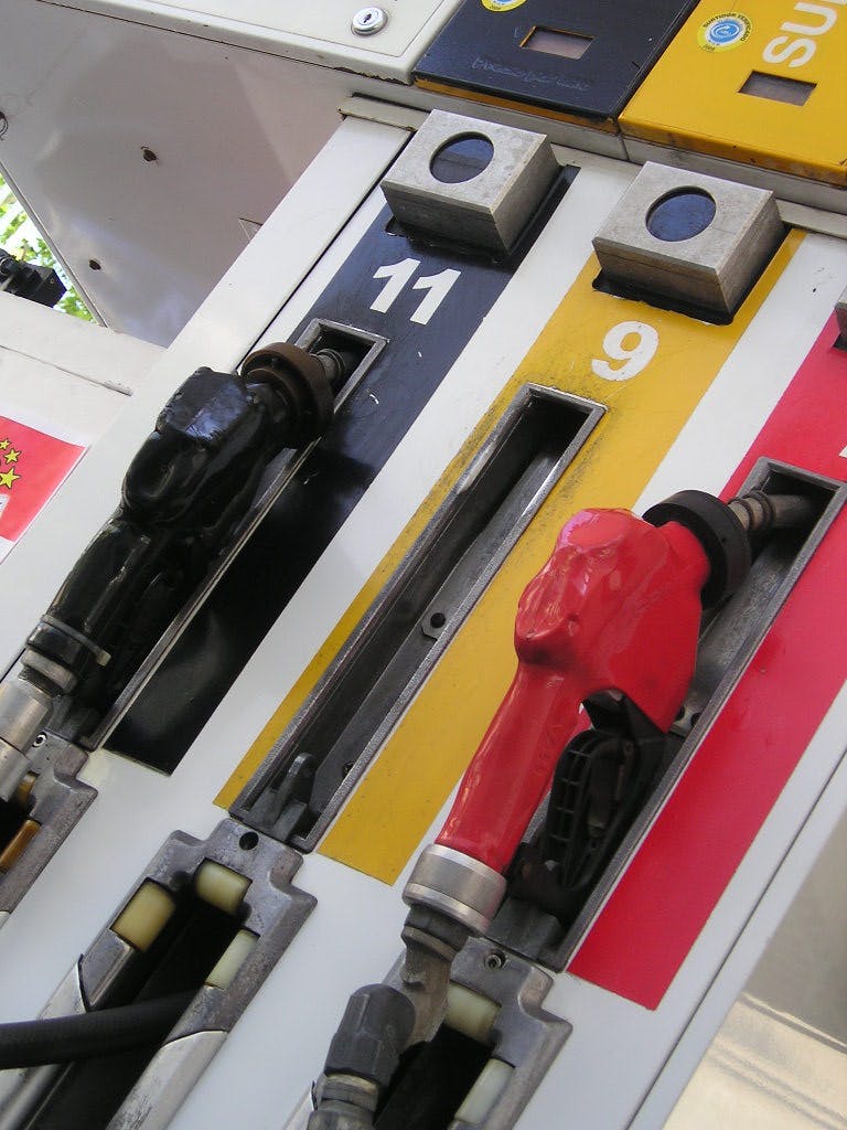 66fdbe09e1fd4af03fe1ee2c Alvimannmorguefile