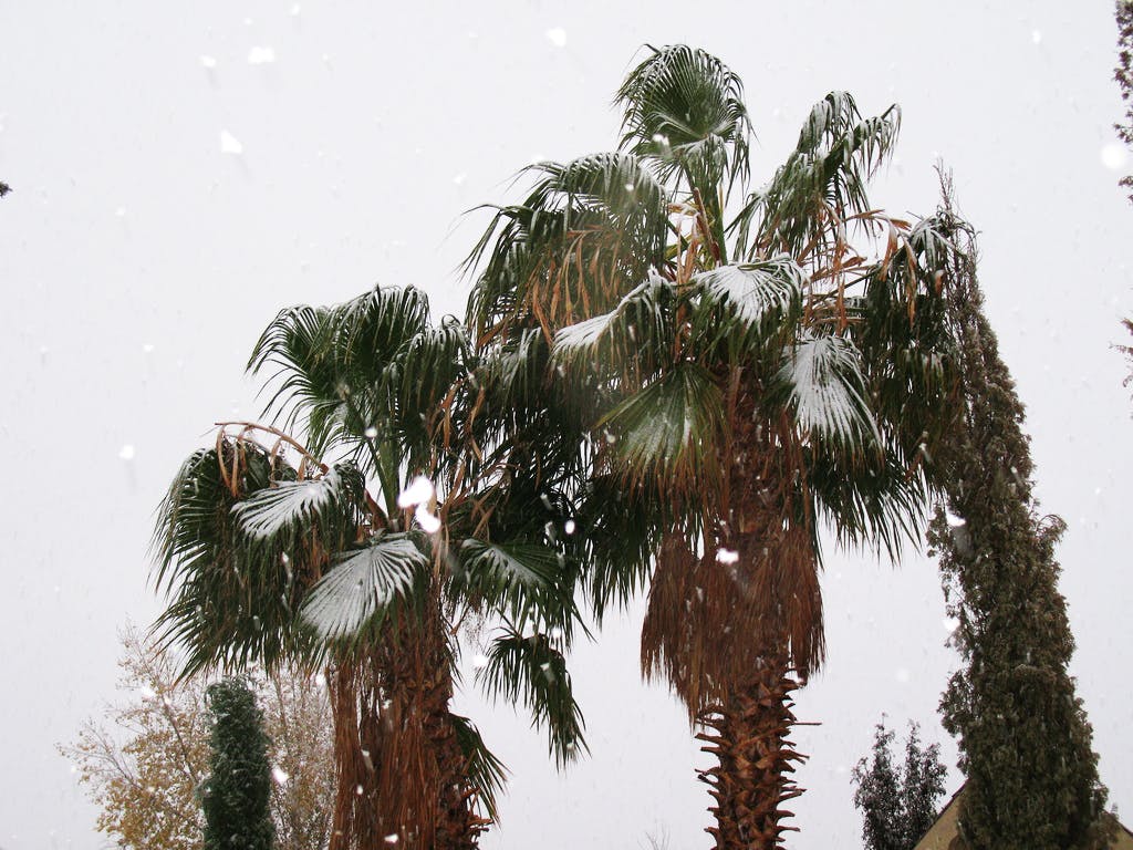 66fdbe1fde5fd1f7d4548a4e Winter Market Hotness