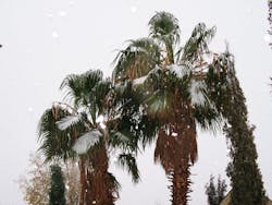 66fdbe1fde5fd1f7d4548a4e Winter Market Hotness 66fdbe1fde5fd1f7d4548a4e Winter Market Hotness