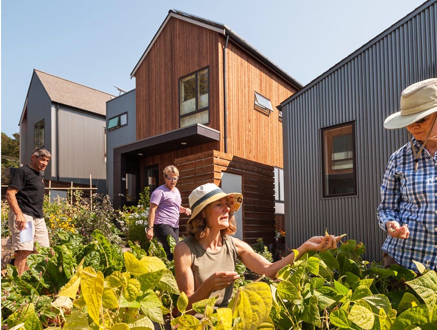 66fdbe4536c97e219f8b5fc5 Growvillageharvest2