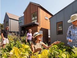 66fdbe4536c97e219f8b5fc5 Growvillageharvest2 66fdbe4536c97e219f8b5fc5 Growvillageharvest2