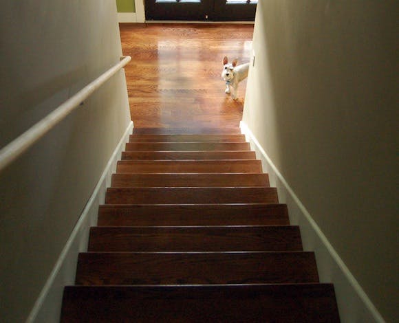 66fdbec2a5dba04a3946256a 889855831 585f4fcb72 O 4