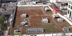 66fdbec6e1fd4ab51de1f099 Hoboken Greenroof 4 66fdbec6e1fd4ab51de1f099 Hoboken Greenroof 4
