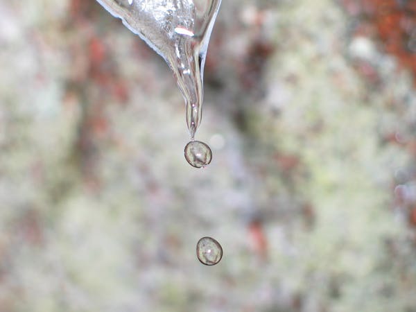 66fdbed036c97e63738b6157 Drop Of Water 2003 03 3