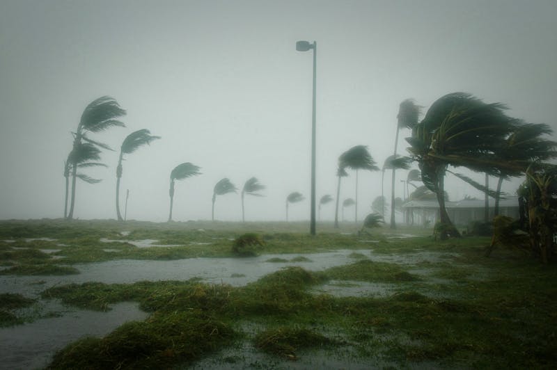 66fdbed2d4ea38fd08a59aed Hurricane Dennis Batters Palm Trees And Floods Par