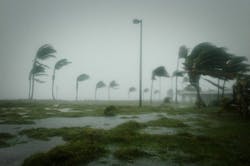 66fdbed2d4ea38fd08a59aed Hurricane Dennis Batters Palm Trees And Floods Par 66fdbed2d4ea38fd08a59aed Hurricane Dennis Batters Palm Trees And Floods Par