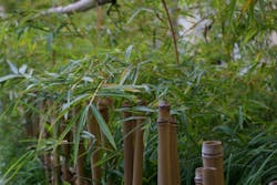 66fdbef3de5fd10e17548ce9 Emergingsmartbuildingmaterialssustainabilityresili 66fdbef3de5fd10e17548ce9 Emergingsmartbuildingmaterialssustainabilityresili