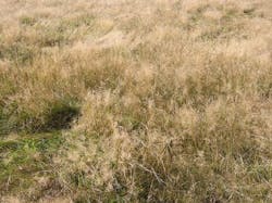 66fdbefd36c97e2c728b61a8 Californiadroughttougherwateruseruleshousingzone 3 66fdbefd36c97e2c728b61a8 Californiadroughttougherwateruseruleshousingzone 3