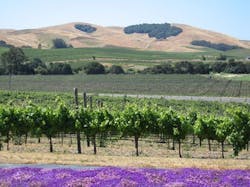 66fdbf1ea897b503dcb1ff31 Napacountybuildingcodechangeshousingzone 3 66fdbf1ea897b503dcb1ff31 Napacountybuildingcodechangeshousingzone 3