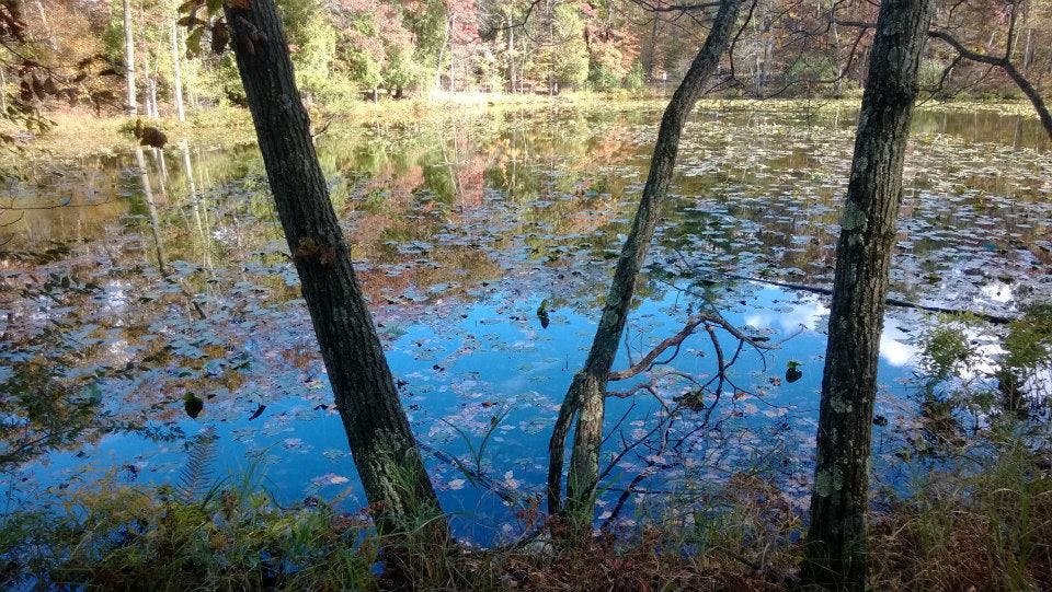 66fdbf1f36c97e40158b61e5 1432313 75618053 3