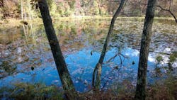 66fdbf1f36c97e40158b61e5 1432313 75618053 3 66fdbf1f36c97e40158b61e5 1432313 75618053 3