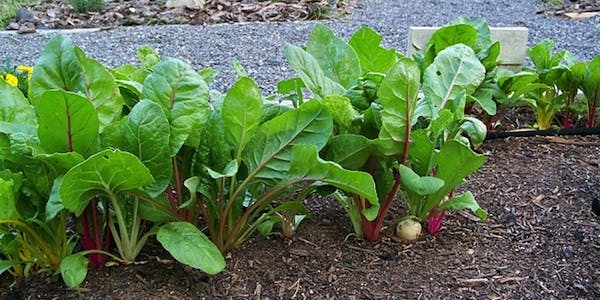 66fdbf5ba897b5e41bb20022 6112903714 2607631967 O