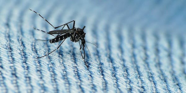 66fdbf69a897b5704fb20048 14951771097 5cbd3f1864 K