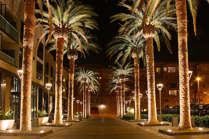 66fdbf6e36c97e04868b62d4 San20jose