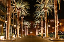 66fdbf6e36c97e04868b62d4 San20jose 66fdbf6e36c97e04868b62d4 San20jose