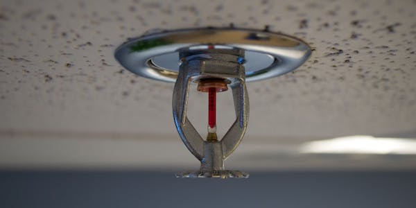 66fdbf6ee63fdc700545893e 4789002951 Fafb208d6b O