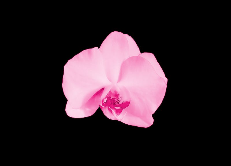 66fdbf73e63fdc74f445894f Simple