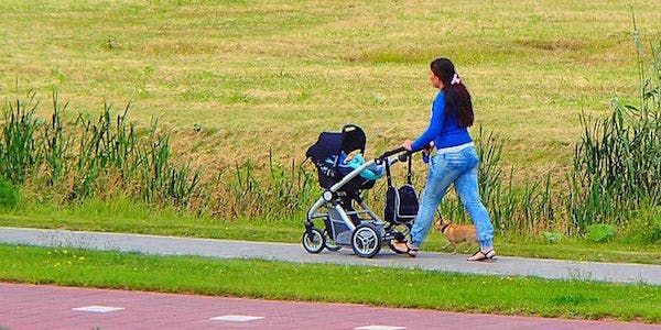 66fdbf8236c97e72dc8b6308 Dsc