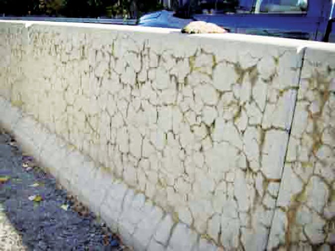 66fdbfa736c97e05218b6344 Concretecancer