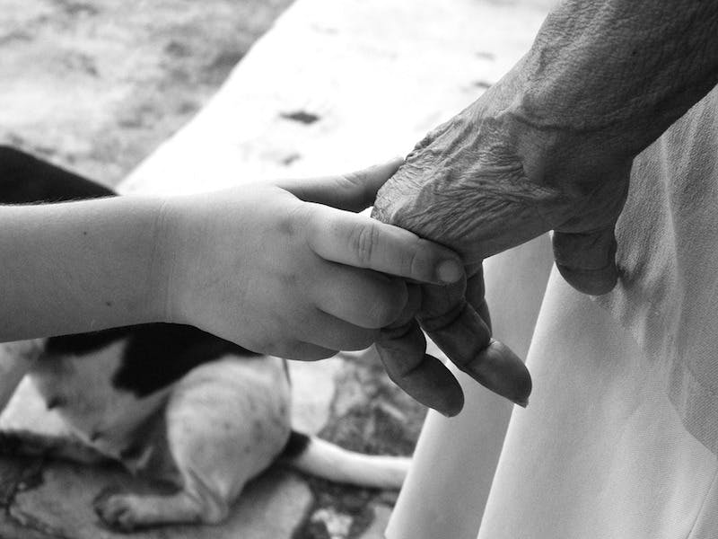 66fdbfa9e1fd4ad6b3e1f2eb Youngandold