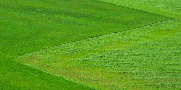 66fdbfe3a897b56c09b20186 Meadow196567 1920