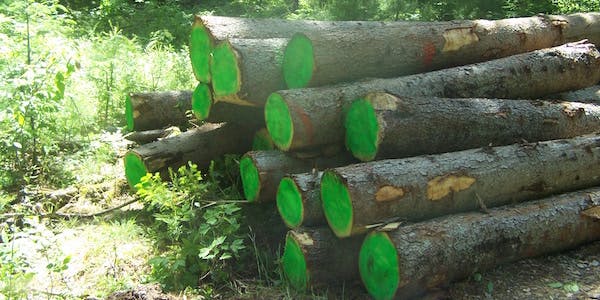 66fdbff3e63fdc74a2458a8d Norway