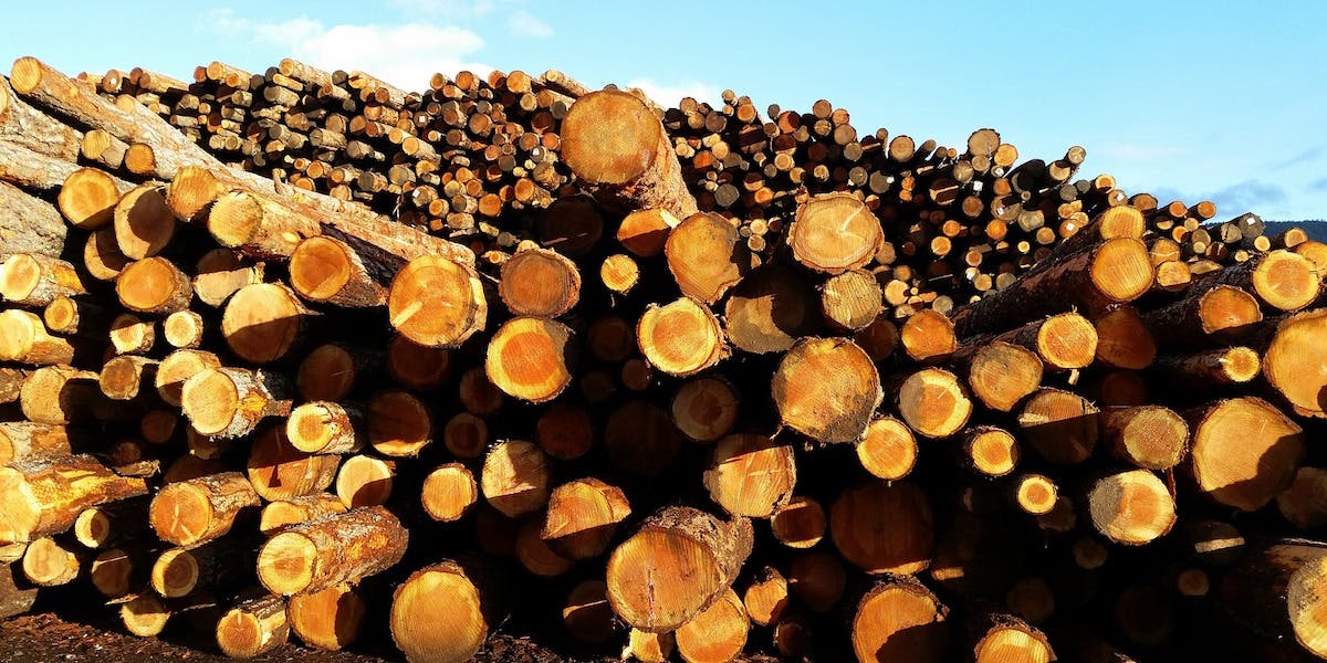 66fdc002d4ea38c98fa59dfa Lumber623285 1920