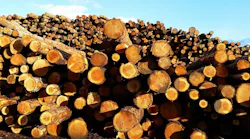 Lumber 623285 1920