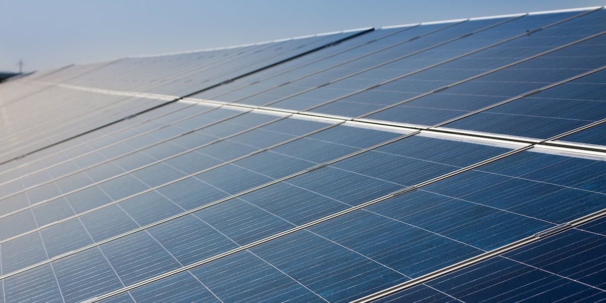 66fdc04f3cabd9f07ca6a020 44wy5hter54hgrd54hrg