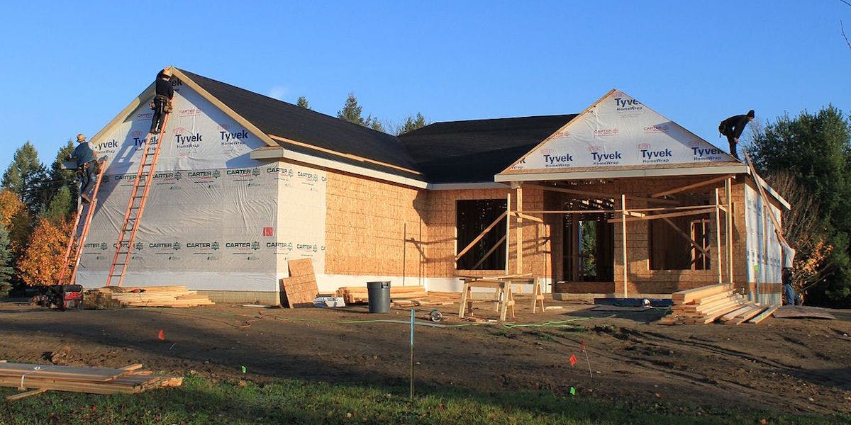 66fdc05c36c97e00808b65b8 Efwbgrtnrtnertnetrhhtr