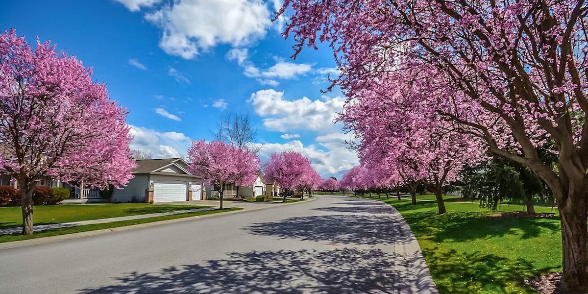 66fdc073e1fd4a0851e1f5a6 Neighborhood2486077 1280