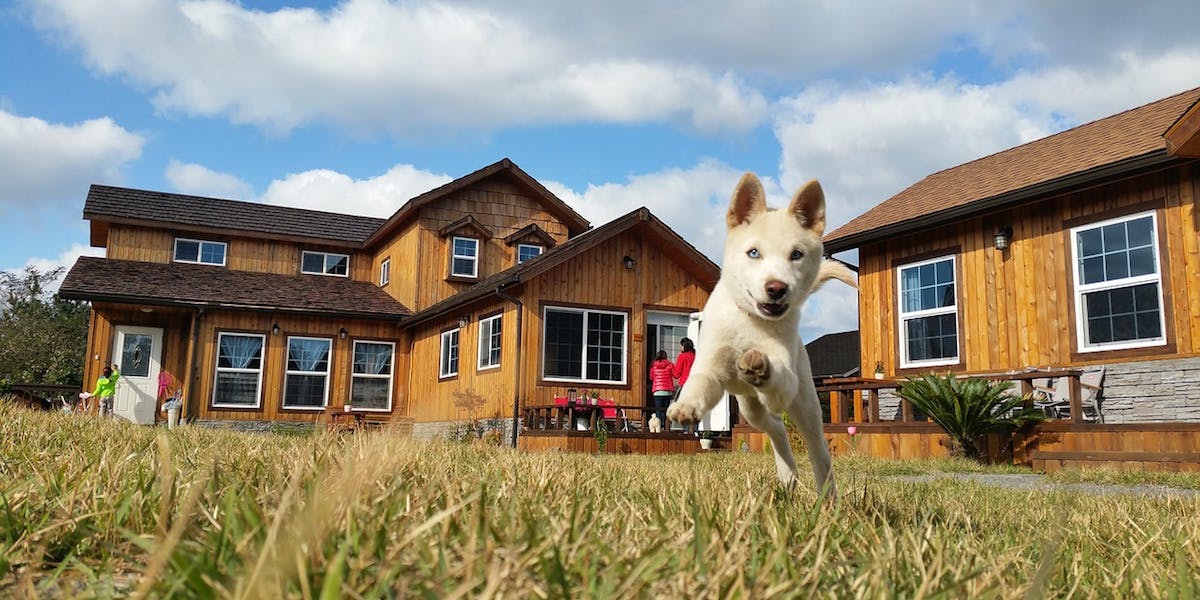 66fdc07da5dba0f043462ab0 Koreanjindo1846176 1280