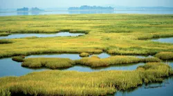 Coastal%20wetlands Photo%20by%20 Us%20 Fish%20and%20 Wildlife%20 Service Public%20domain