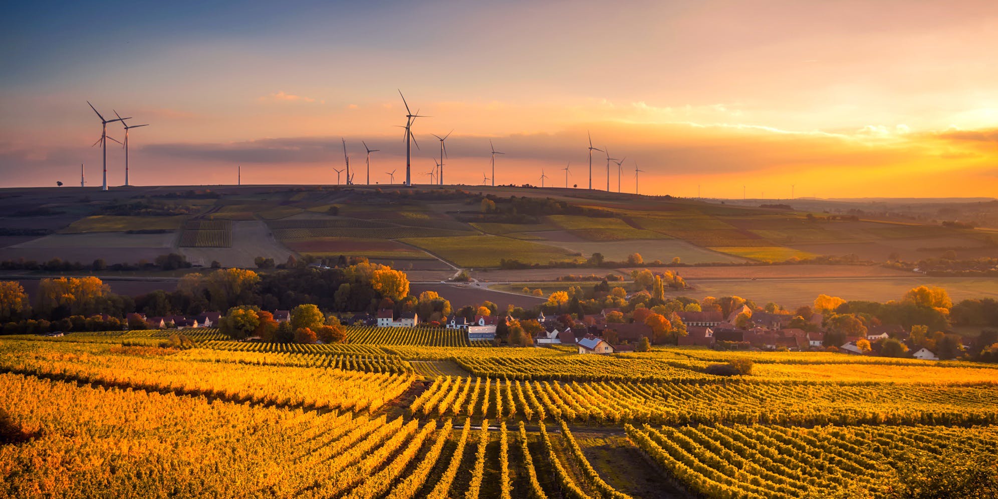 66fdc0a73cabd921d7a6a15c Smalltown