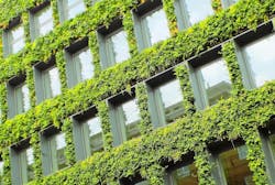 66fdc0b6a5dba030ae462b3f Grasswalls2651587 1920 66fdc0b6a5dba030ae462b3f Grasswalls2651587 1920