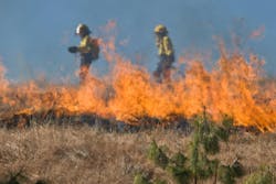 66fdc0b6e63fdc1a20458d09 Firefighter807379 1920 66fdc0b6e63fdc1a20458d09 Firefighter807379 1920