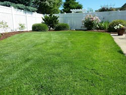 66fdc0bf36c97e276f8b66e7 Backyard250890 1920 66fdc0bf36c97e276f8b66e7 Backyard250890 1920